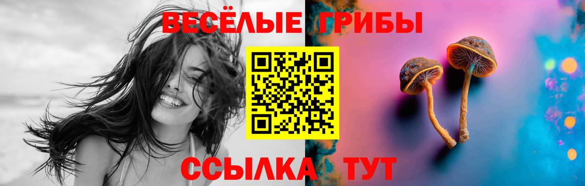 Урус-Мартан  Галлюциногенные грибы мухоморы  Вход с VPN  Галлюциногенные грибы MAGIC MUSHROOMS 